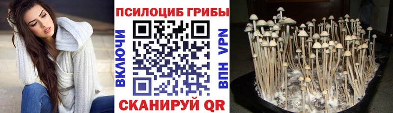 kraken онион  Инта  shop состав  Галлюциногенные грибы Magic Shrooms 